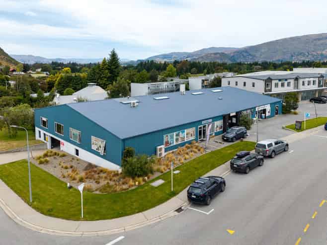 Strategic Investment with Mixed Use Flexibility