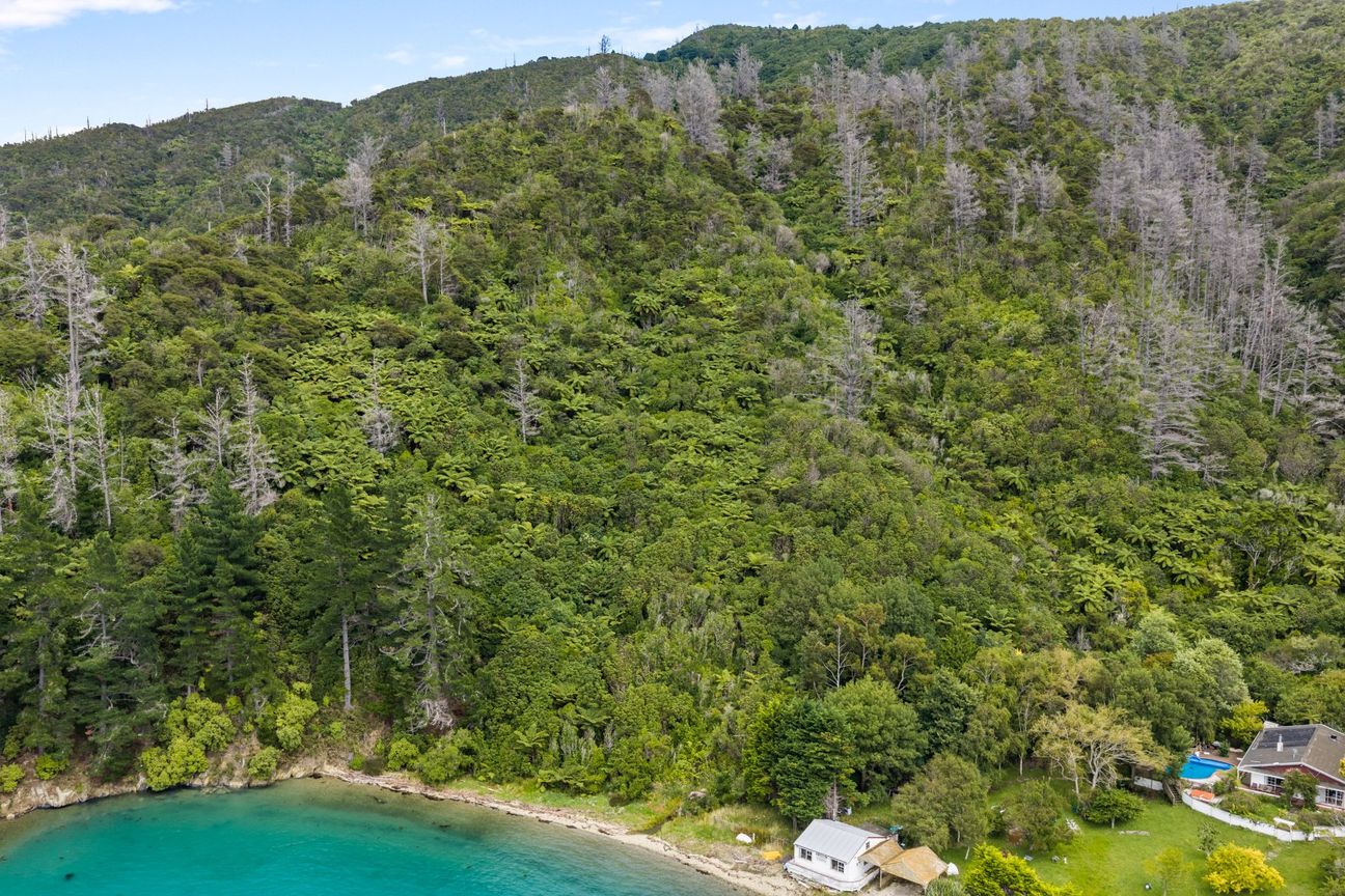 Make your mark on this waterfront blank canvas - Więcej