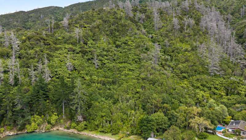 Lot 1 Te Iro Bay, Arapaoa Island