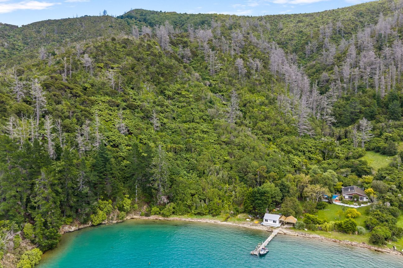 Make your mark on this waterfront blank canvas - Widok 6