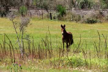 2265 State Highway 7, Reefton