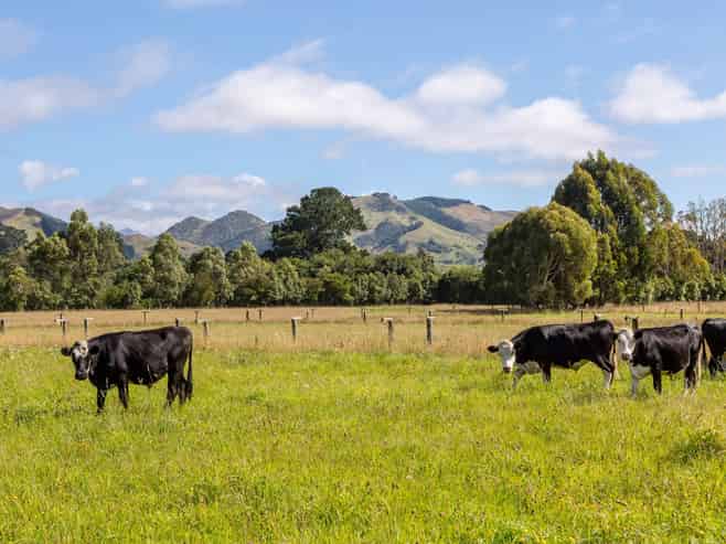 89 Hinau Gully Road, Carterton