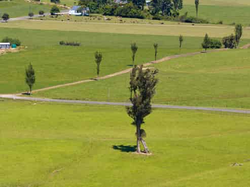 71 Waverley Street, Karamea