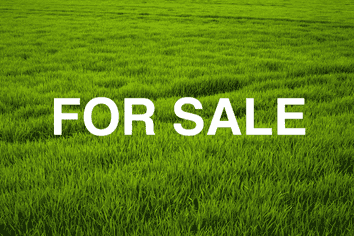 22 Makomako Drive, Orewa