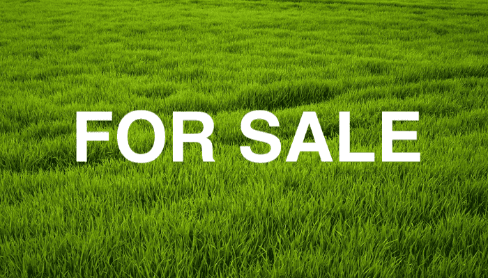 22 Makomako Drive, Orewa