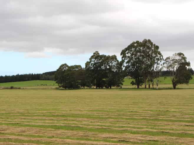  Rosewill Valley Road, Rosewill