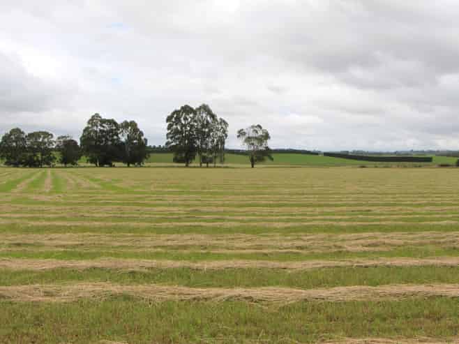  Rosewill Valley Road, Rosewill