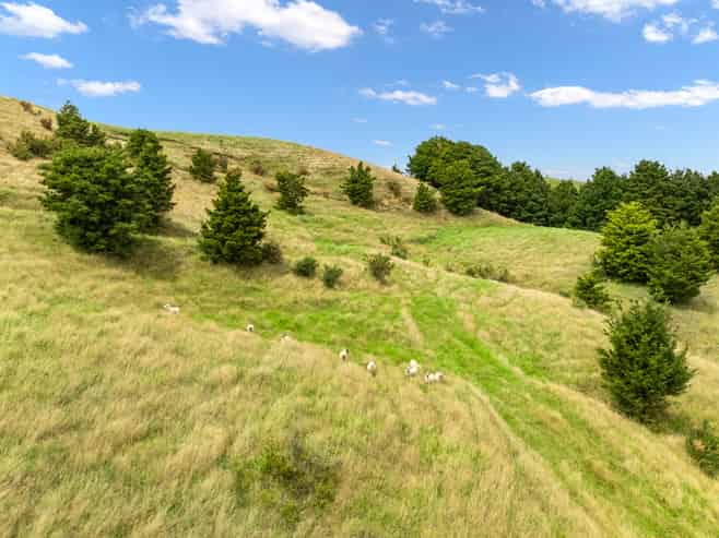  Hayward Road, Maungakaramea