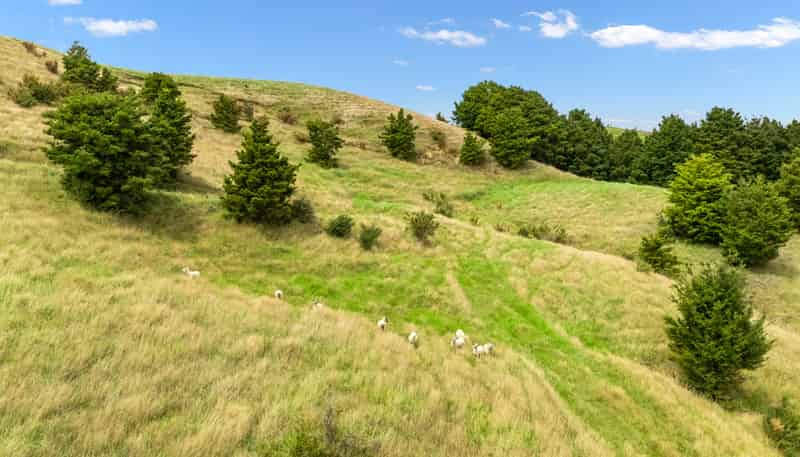  Hayward Road, Maungakaramea