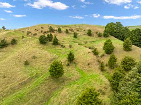  Hayward Road, Maungakaramea