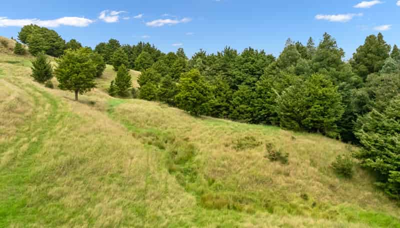  Hayward Road, Maungakaramea