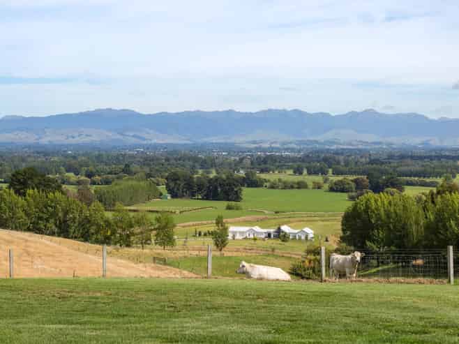 67A Lees Pakaraka Road, Masterton