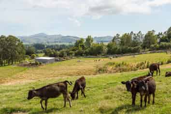 67A Lees Pakaraka Road, Masterton