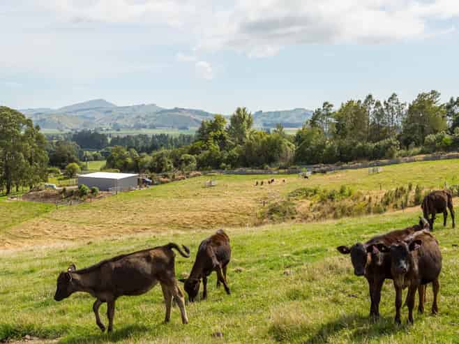 67A Lees Pakaraka Road, Masterton