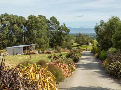 67A Lees Pakaraka Road, Masterton