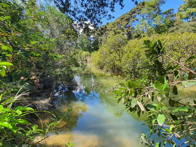 10 Beach Street, Sandspit