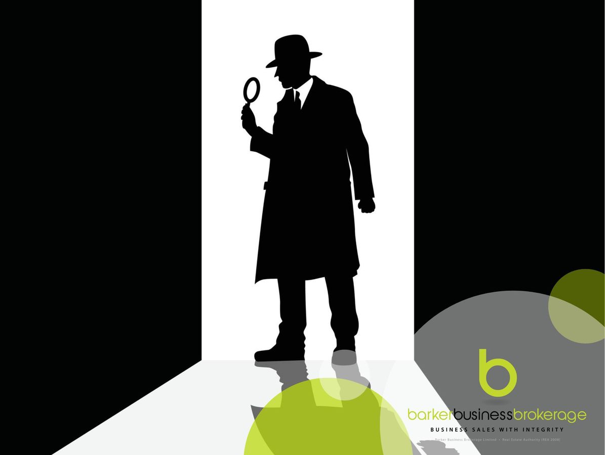 Digital Detective Goldmine, Lifestyle Business