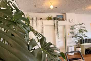 Prime Location in the Heart of Miramar