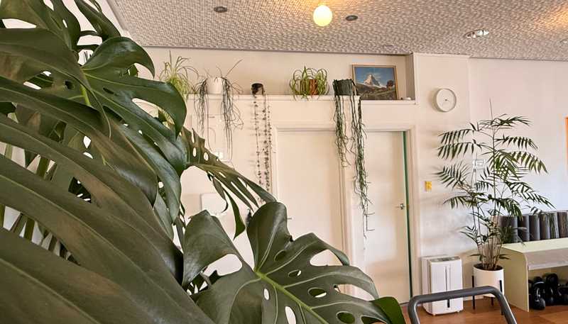 73 Miramar Avenue, Miramar