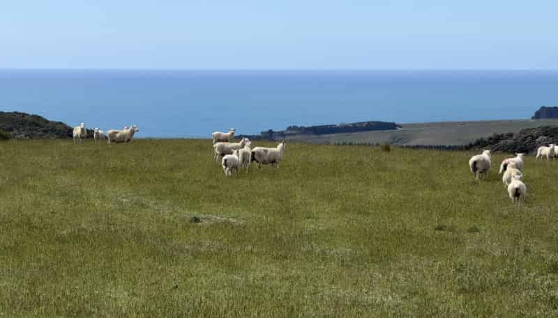 125 Sawmill Road, Taieri Beach