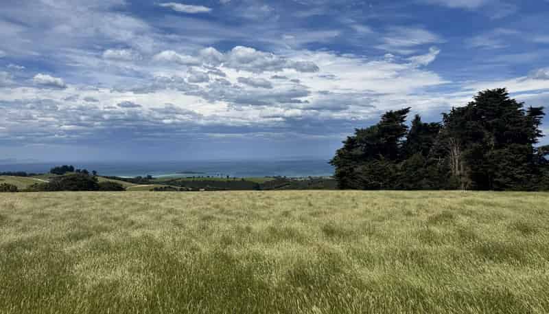 125 Sawmill Road, Taieri Beach