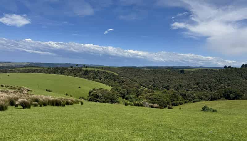 125 Sawmill Road, Taieri Beach