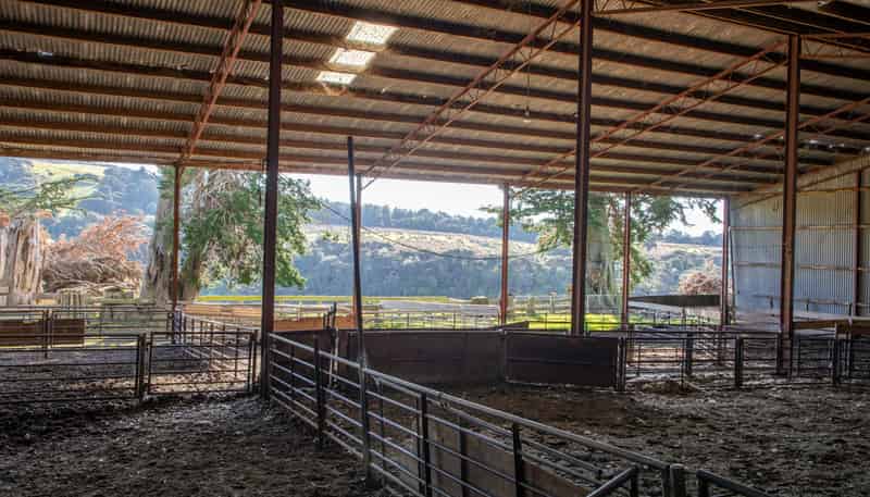 125 Sawmill Road, Taieri Beach