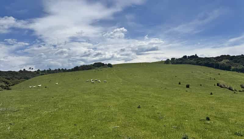 125 Sawmill Road, Taieri Beach