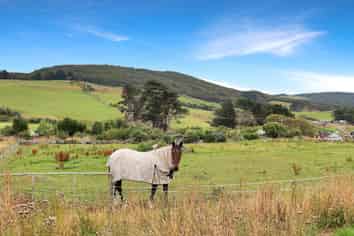47 Castle Street, RIVERTON