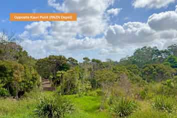 16 Onetaunga Road, Chatswood