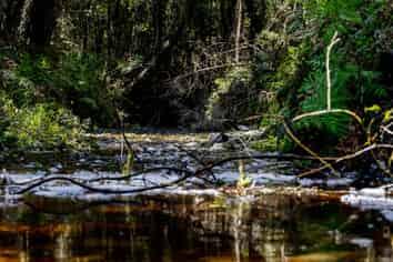 Lots 1 - 6 Sanctuary Place, KUMARA JUNCTION