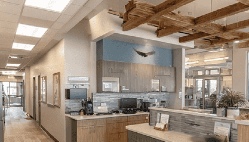 177 Parnell Road, Parnell