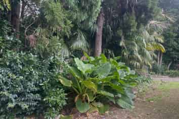 123 Great North Road, Kamo