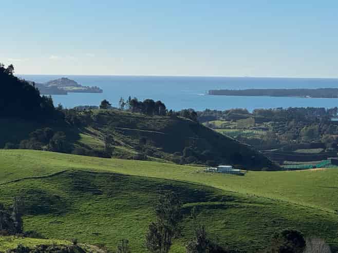 35 Canon Road, Katikati