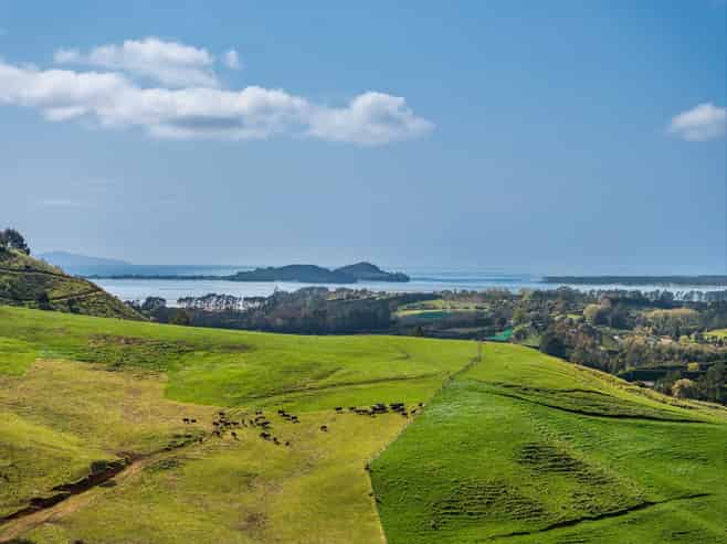 35 Canon Road, Katikati