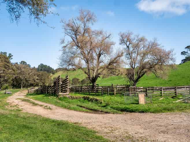 35 Canon Road, Katikati