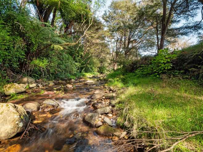 35 Canon Road, Katikati