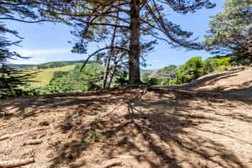 851 Makara Road, Makara