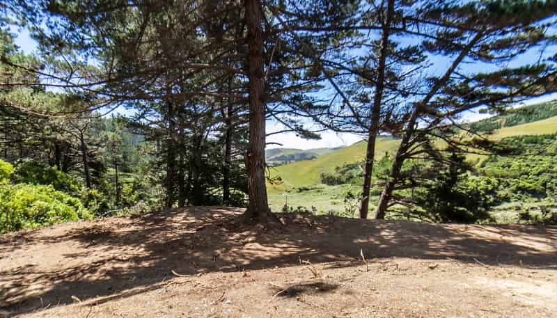 851 Makara Road, Makara