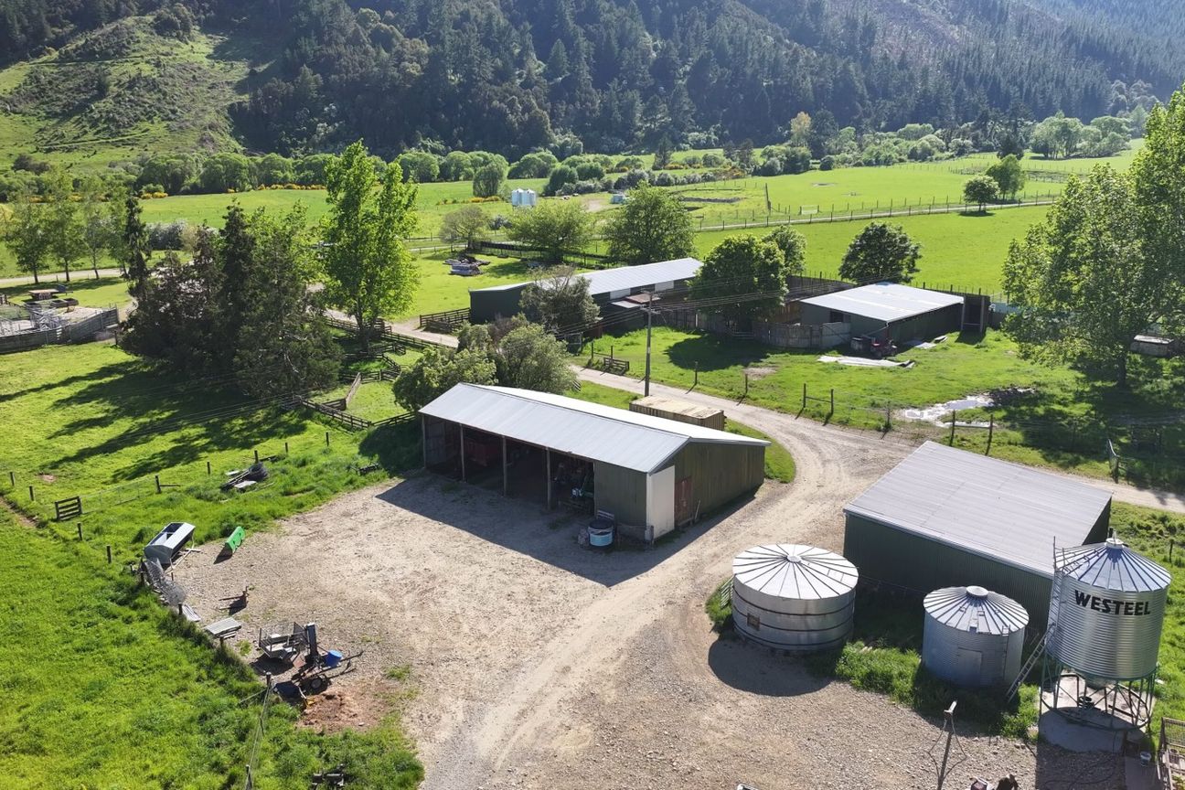 Exceptional 400 Hectare Finishing Property – pohled 6