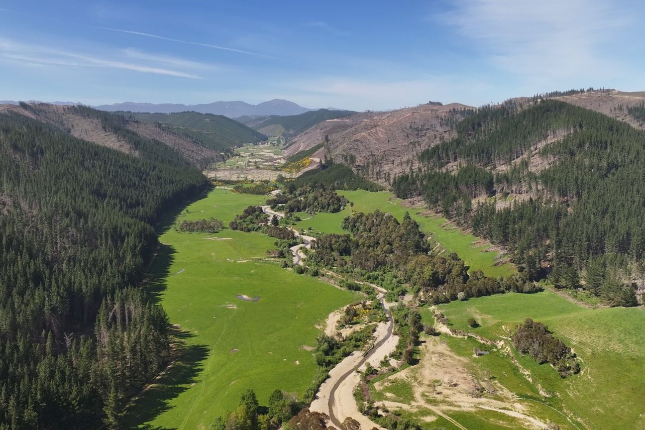 Exceptional 400 Hectare Finishing Property – pohled 5