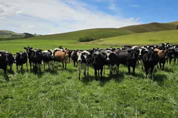 289 Otama Valley Road, Otama