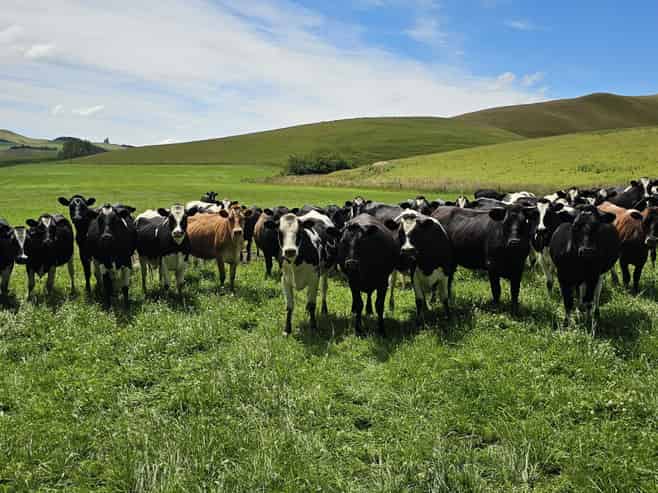 289 Otama Valley Road, Otama