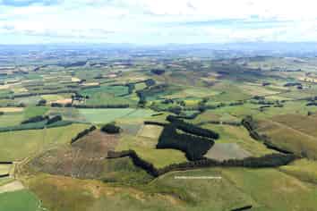 289 Otama Valley Road, Otama