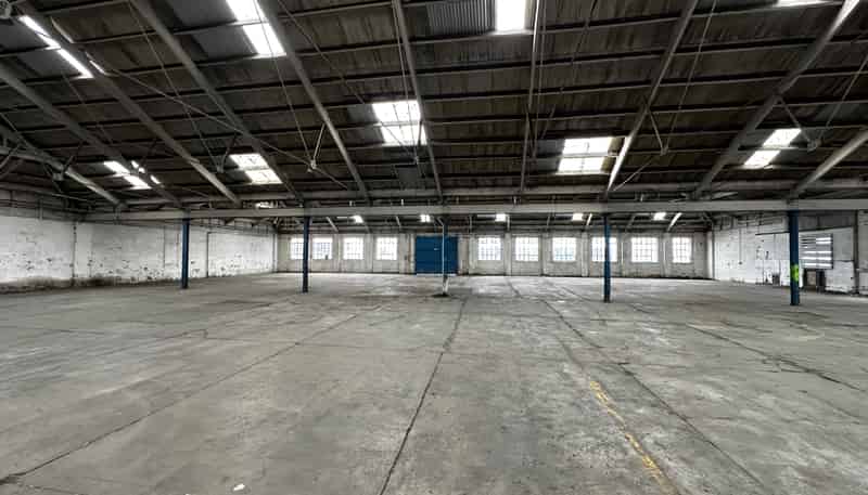 58 Sturdee Street, Dunedin Central