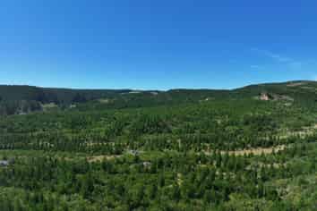  Waitahuna Gully Road, Waitahuna Gully
