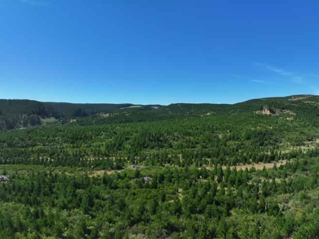  Waitahuna Gully Road, Waitahuna Gully