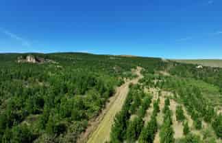  Waitahuna Gully Road, Waitahuna Gully