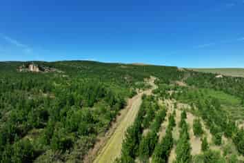  Waitahuna Gully Road, Waitahuna Gully