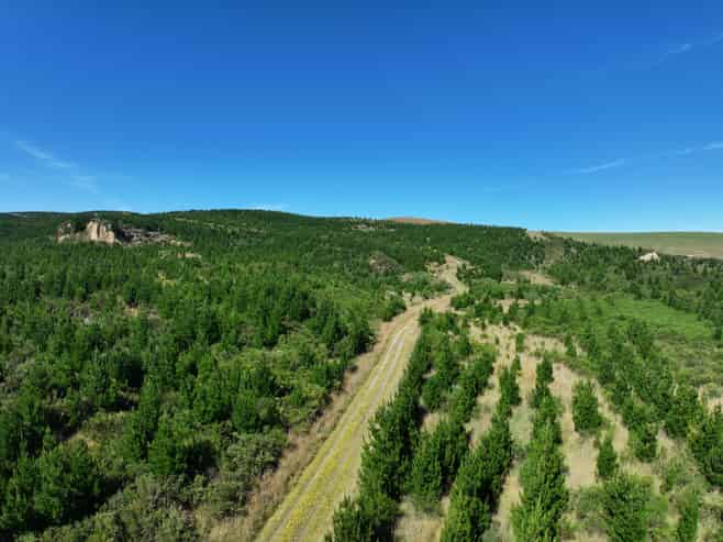  Waitahuna Gully Road, Waitahuna Gully